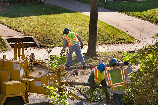 Hebron, IN Tree Services Company